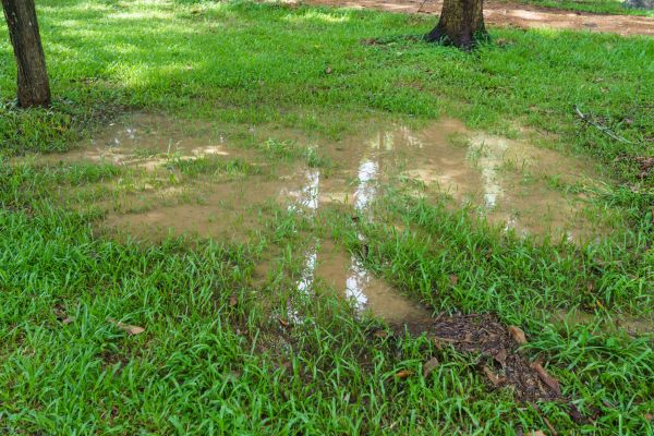 Storm Water Drainage Service in Queen Creek