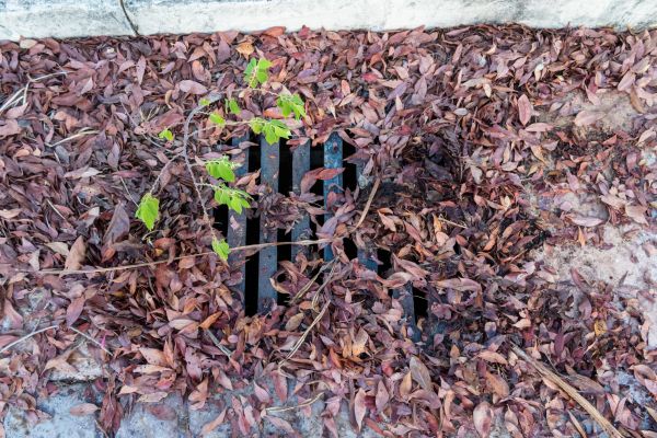Yard Drain Unclogging in Queen Creek