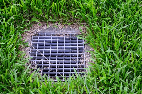 Cost of Yard Water Drainage in Queen Creek