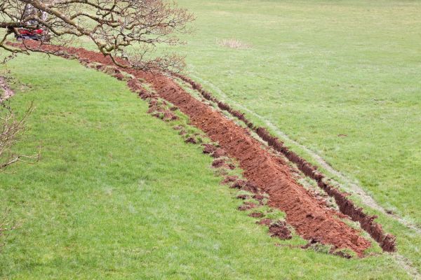 Cost of Swale Installation in Queen Creek
