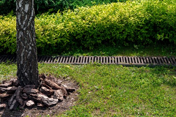 Garden Drainage Installation in Queen Creek