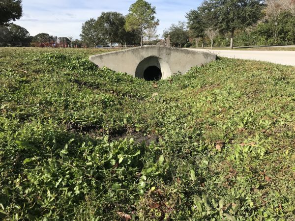 Cost of Swale Drainage Service in Queen Creek